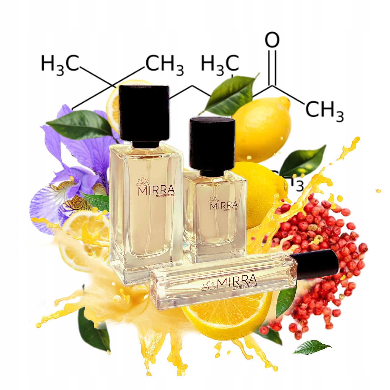 Mirra Perfumes 602 Molekul 01 Escentric Extrait de Parfum 50ml