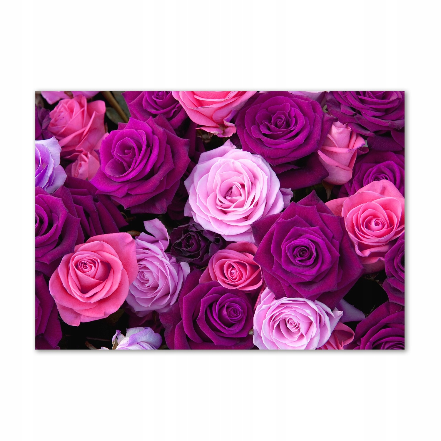 

Obraz zdjęcie na scianę pleksi Róże duży 100x70cm