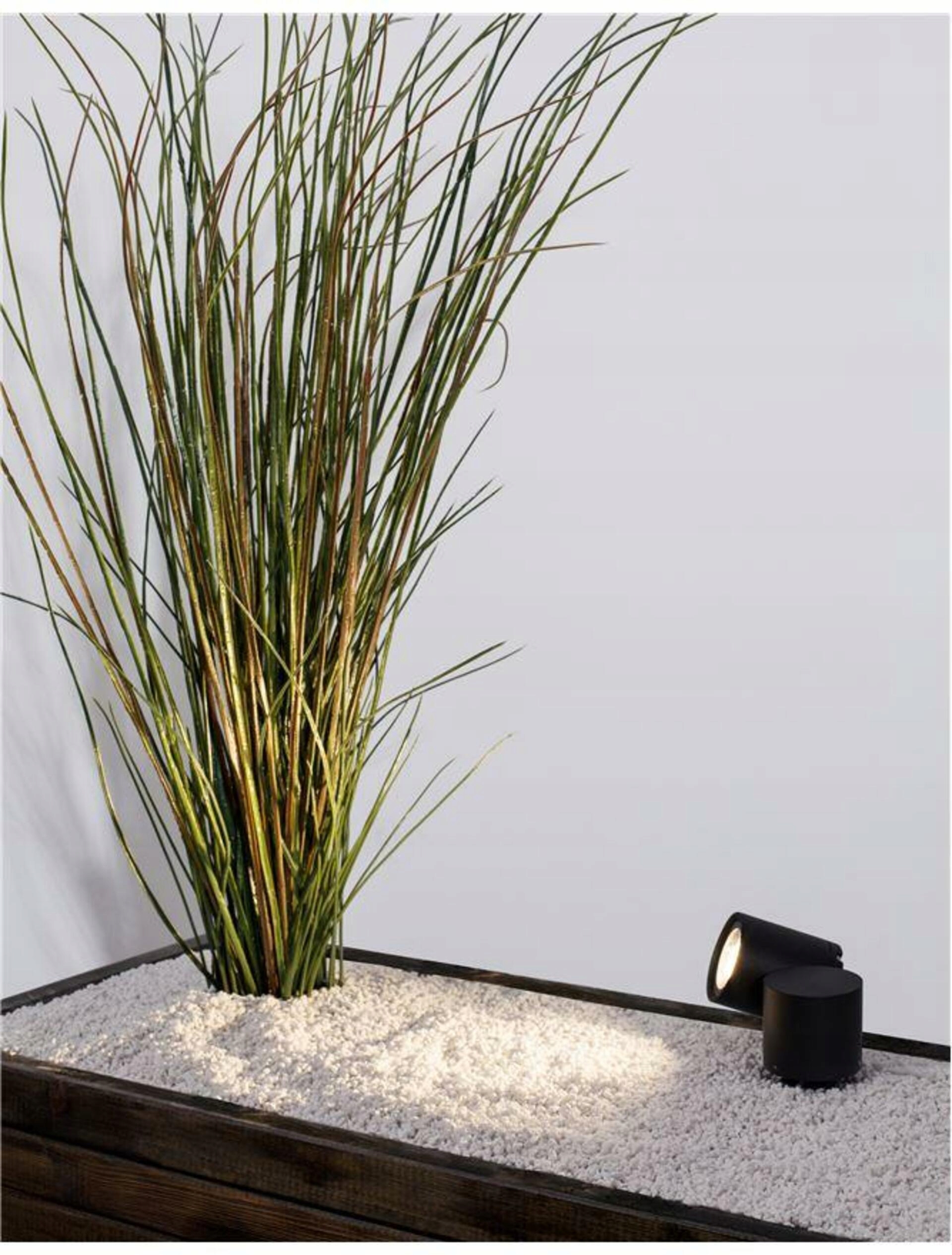 Nova Luce vonkajšie svietidlo s bodcom Focus čierny hliník sklenený difúzor Gu