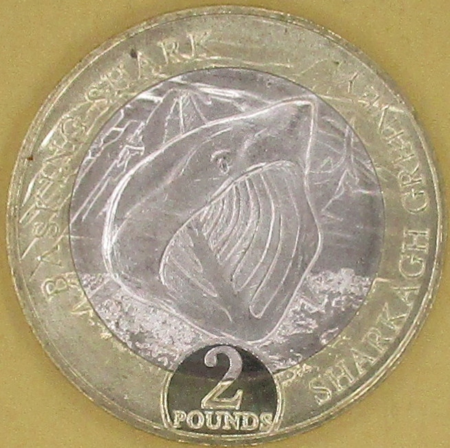 WYSPA MAN 2023 Rekin długoszpar 2 funty pounds bimetal