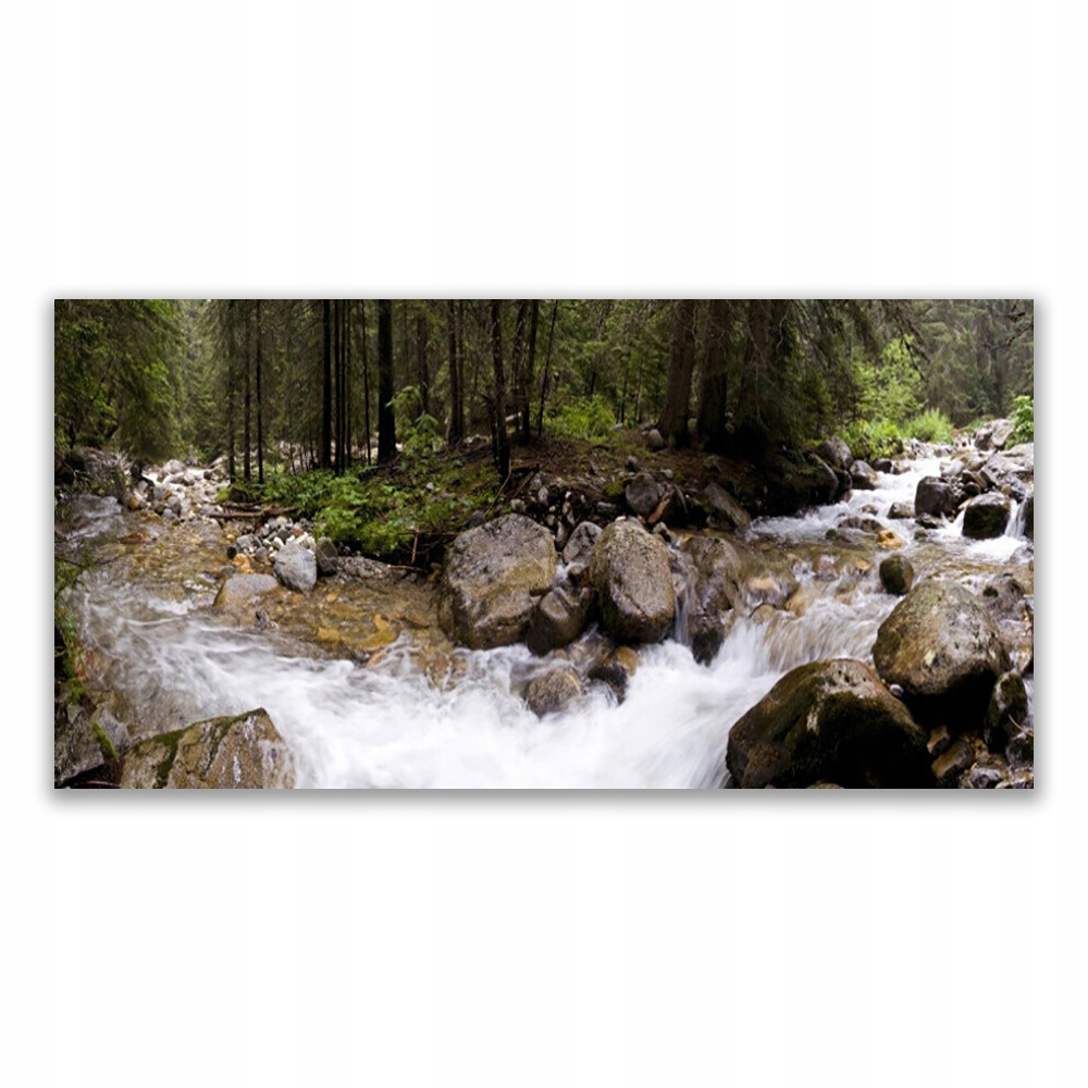 

Fotoobraz z nadrukiem 140x70 Las Rzeka Wodospady