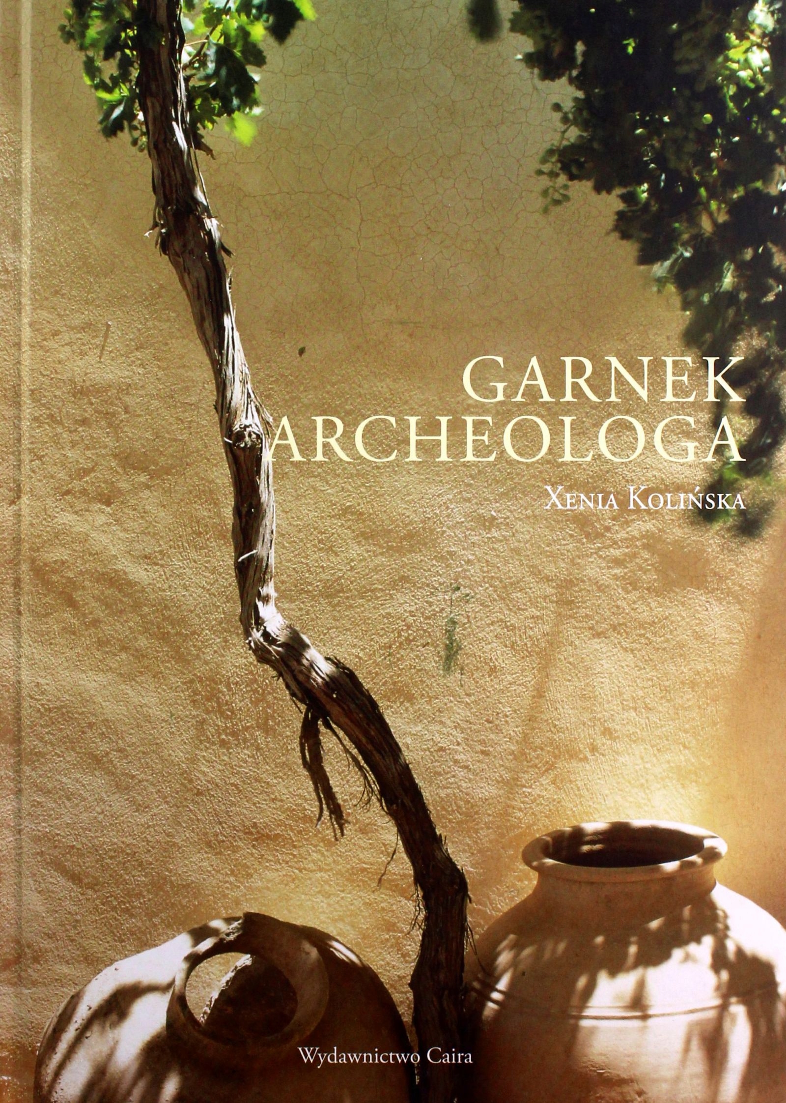 Garnek Archeologa Xenia Kolińska (książka)