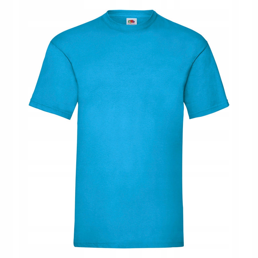 

Koszulka męska T-shirt Valueweight Fruit azur L