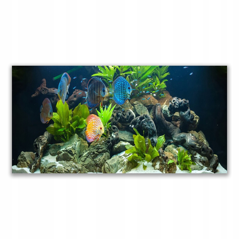 

Obraz akrylowy ścienny 140x70 Ryba Akwarium Natura