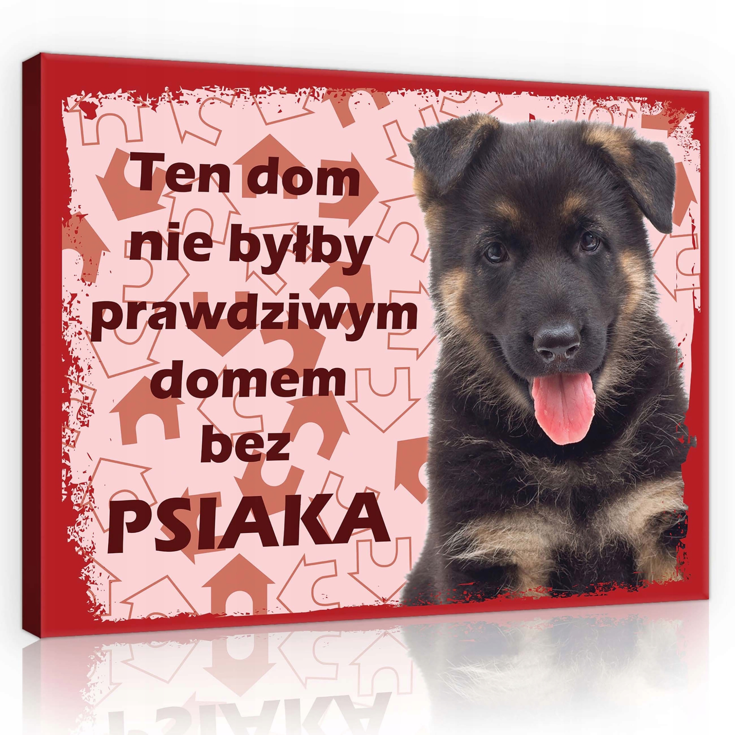 Obraz 80x60 Štěňátko pes dům láska mazlíček německý ovčák útulný