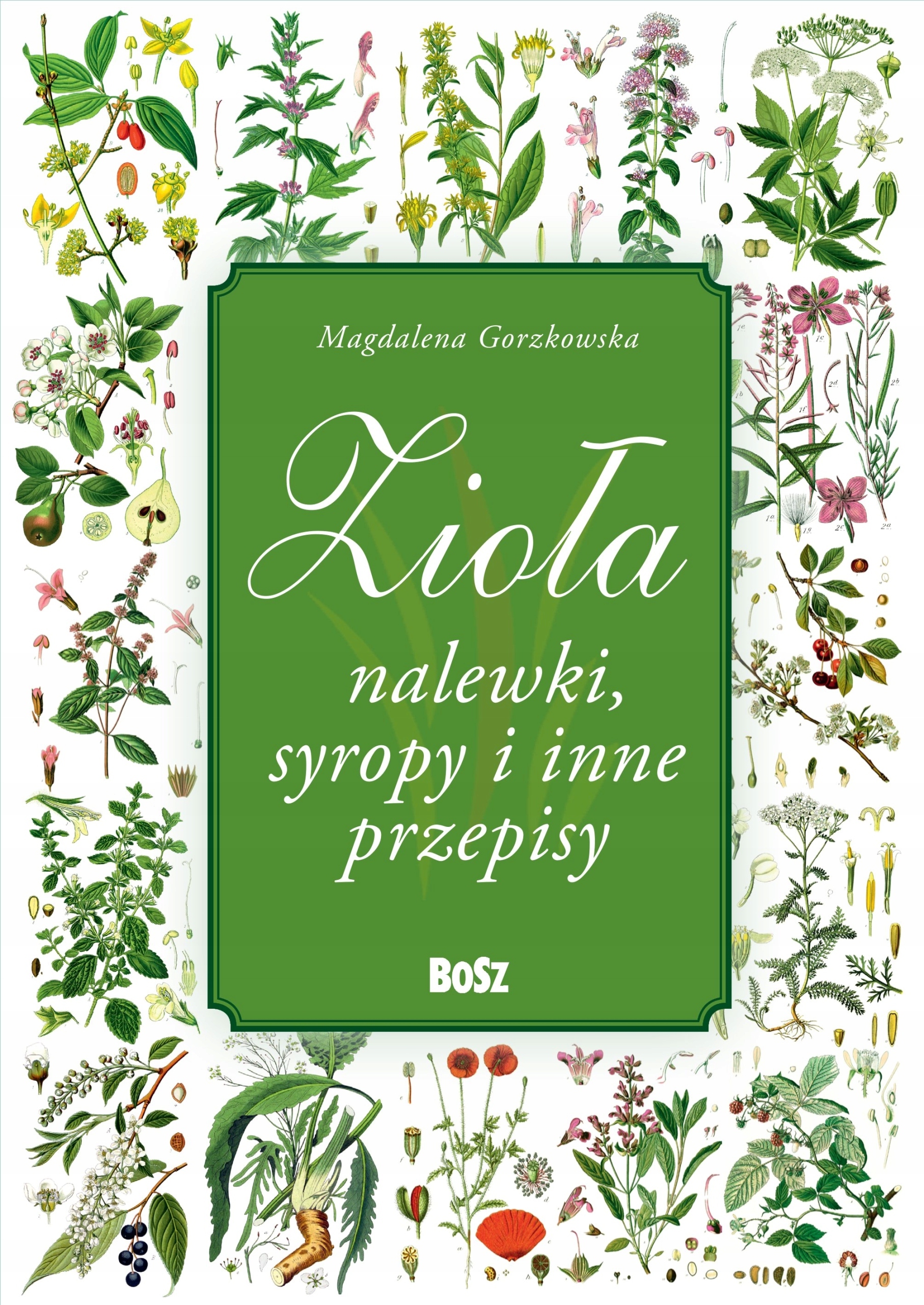 ZIOŁA I NALEWKI GORZKOWSKA MAGDALENA KSIĄŻKA