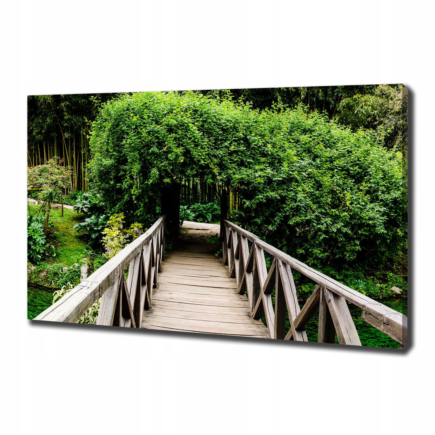 

Foto obraz na płótnie Most na rzece 100x70 cm