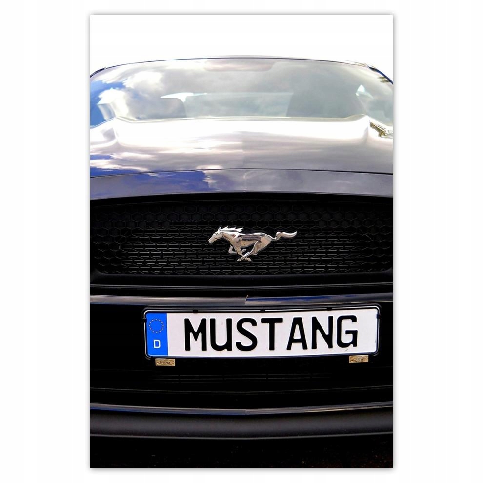

Plakaty 40x60 Ford Mustang