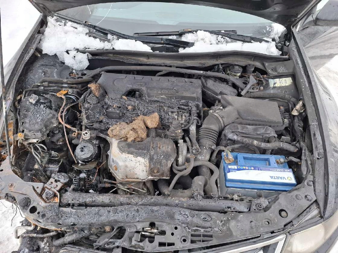 Honda ACCORD воздухозаборники Воздух для Кузова 2009 2.2л 77620tl0 77620-tl0, e847-5