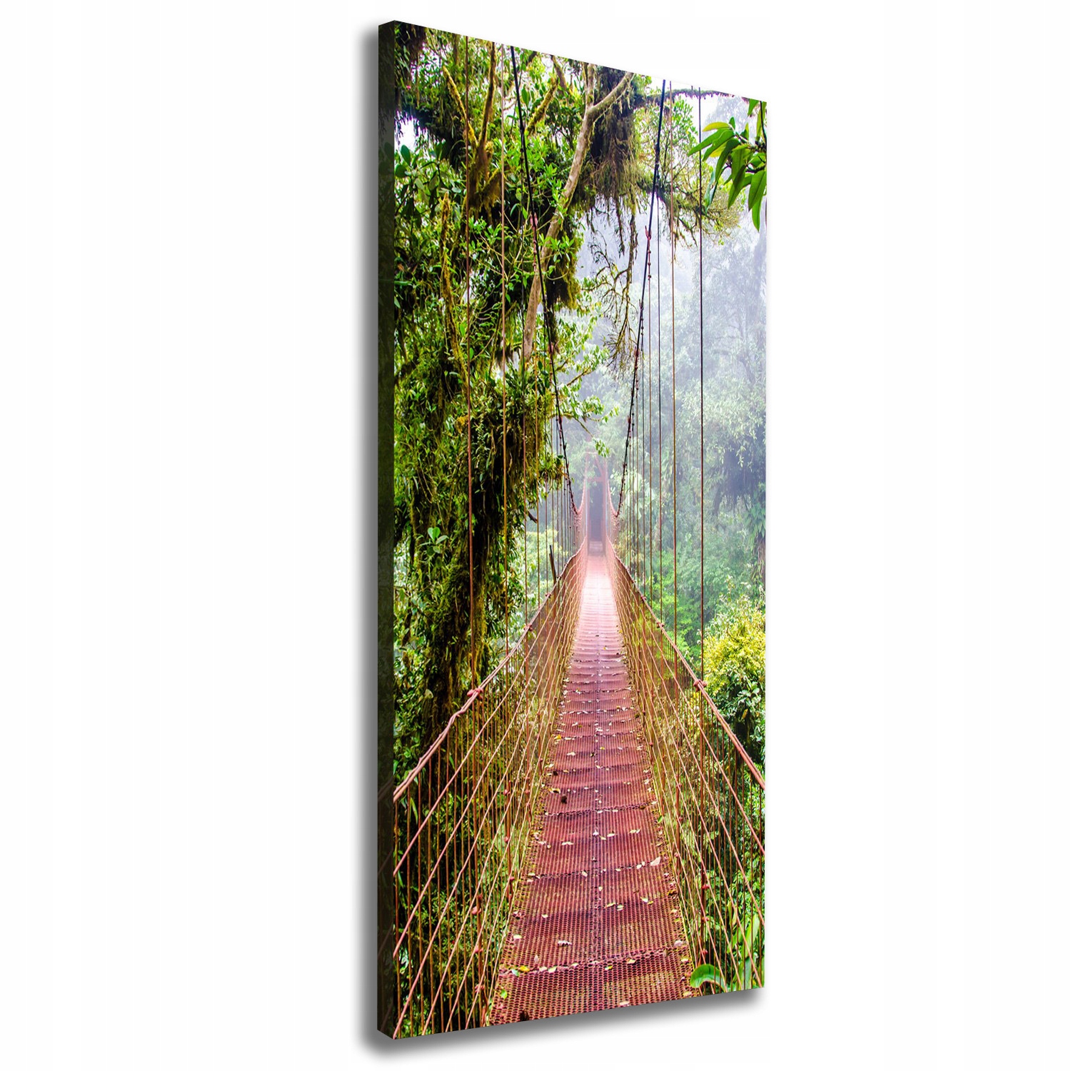 

Foto obraz canvas do salonu Most wiszący 50x125