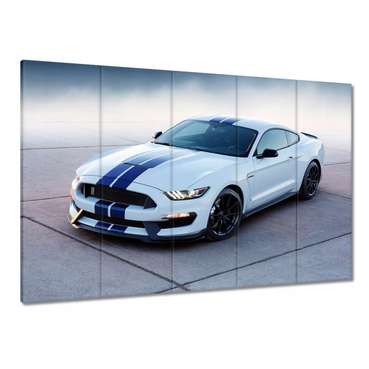 Obrazy 100x70 Ford Mustang Shelby