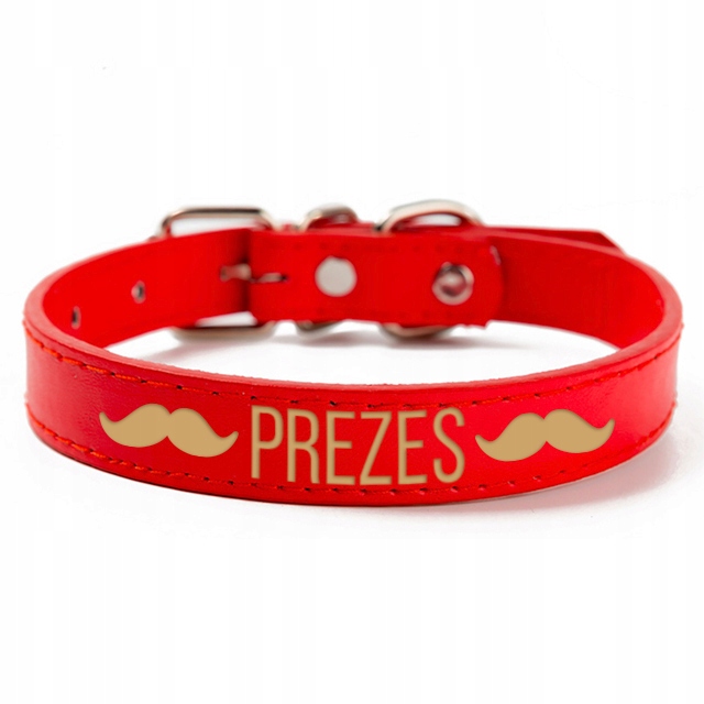 

Obroża Skórzana Grawer Numer Pupil L 29~38cm