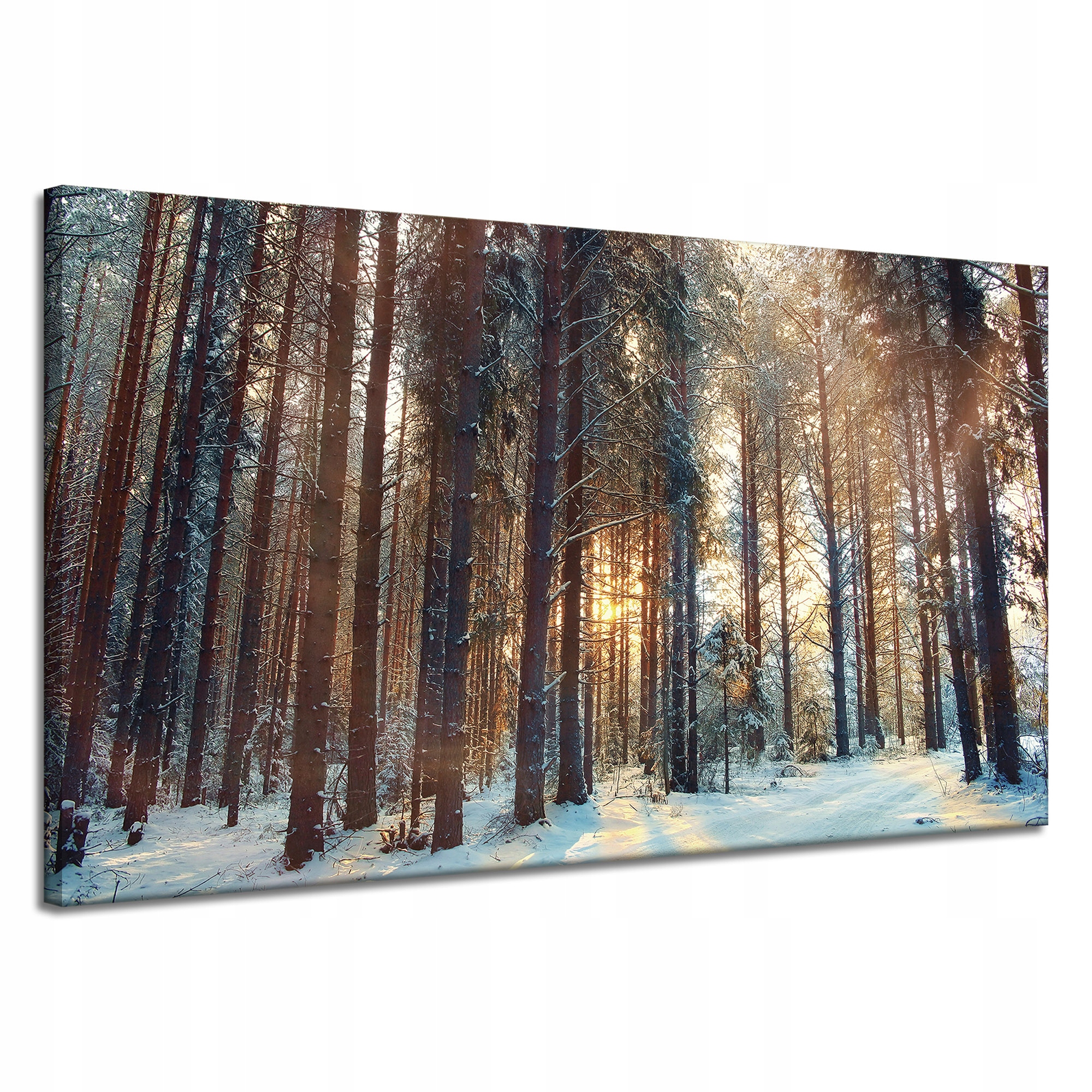 Obraz na plátně Les Zima Sníh Bílá Příroda 120x70 cm Ideální jako dárek