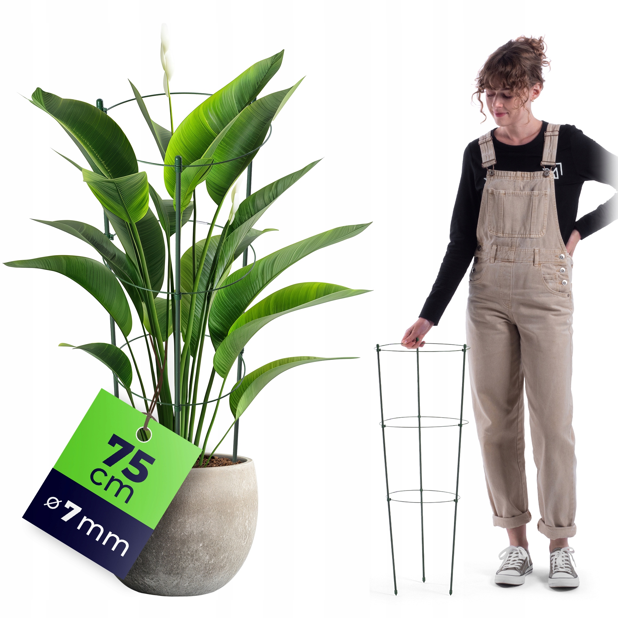 PODPORA PIERŚCIENIOWA DO ROŚLIN KWIATÓW 75 cm METALOWA PODPÓRKA OBRĘCZE