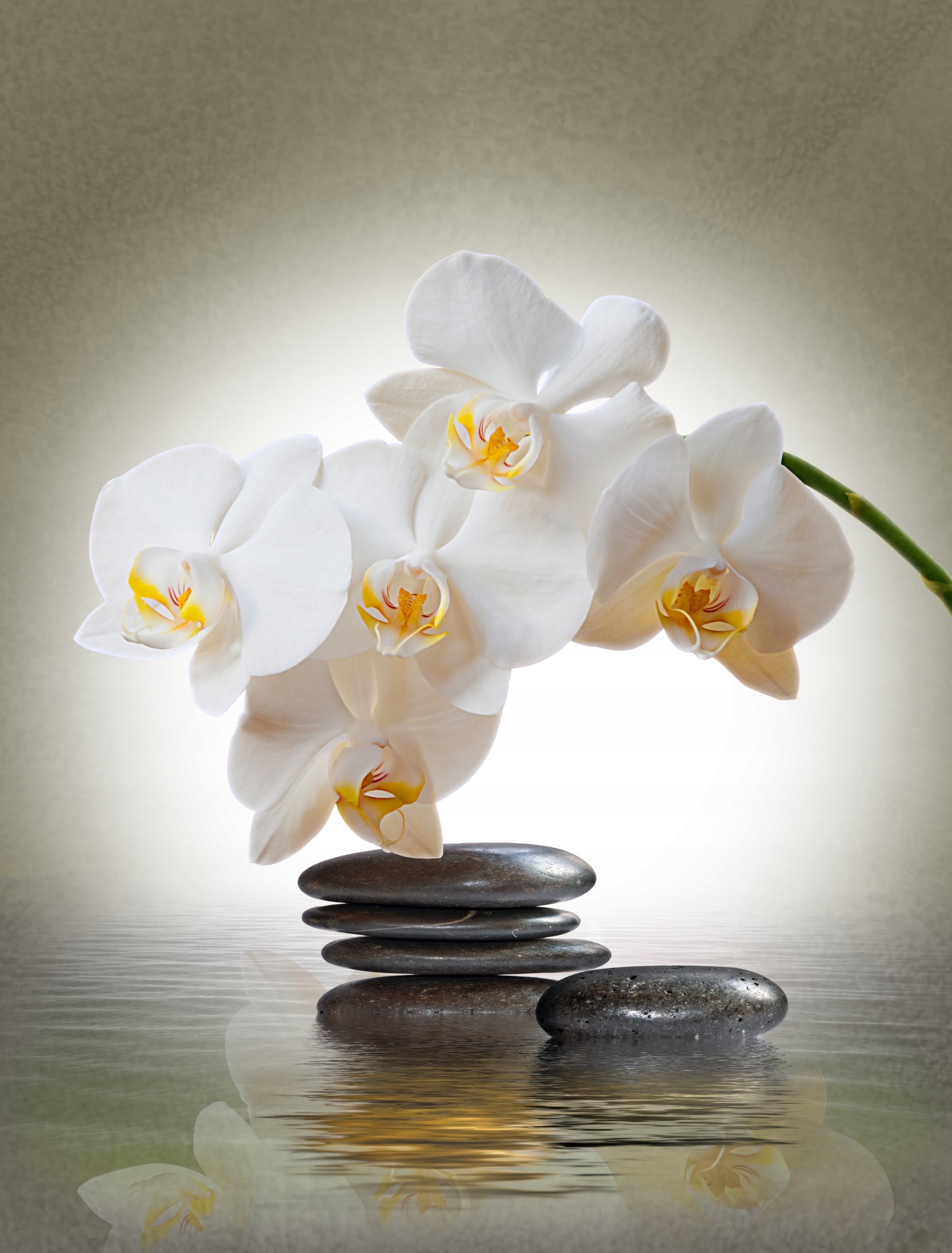 FOTOTAPETA STORCZYK KAMIENIE PIĘKNE SALON 395x280