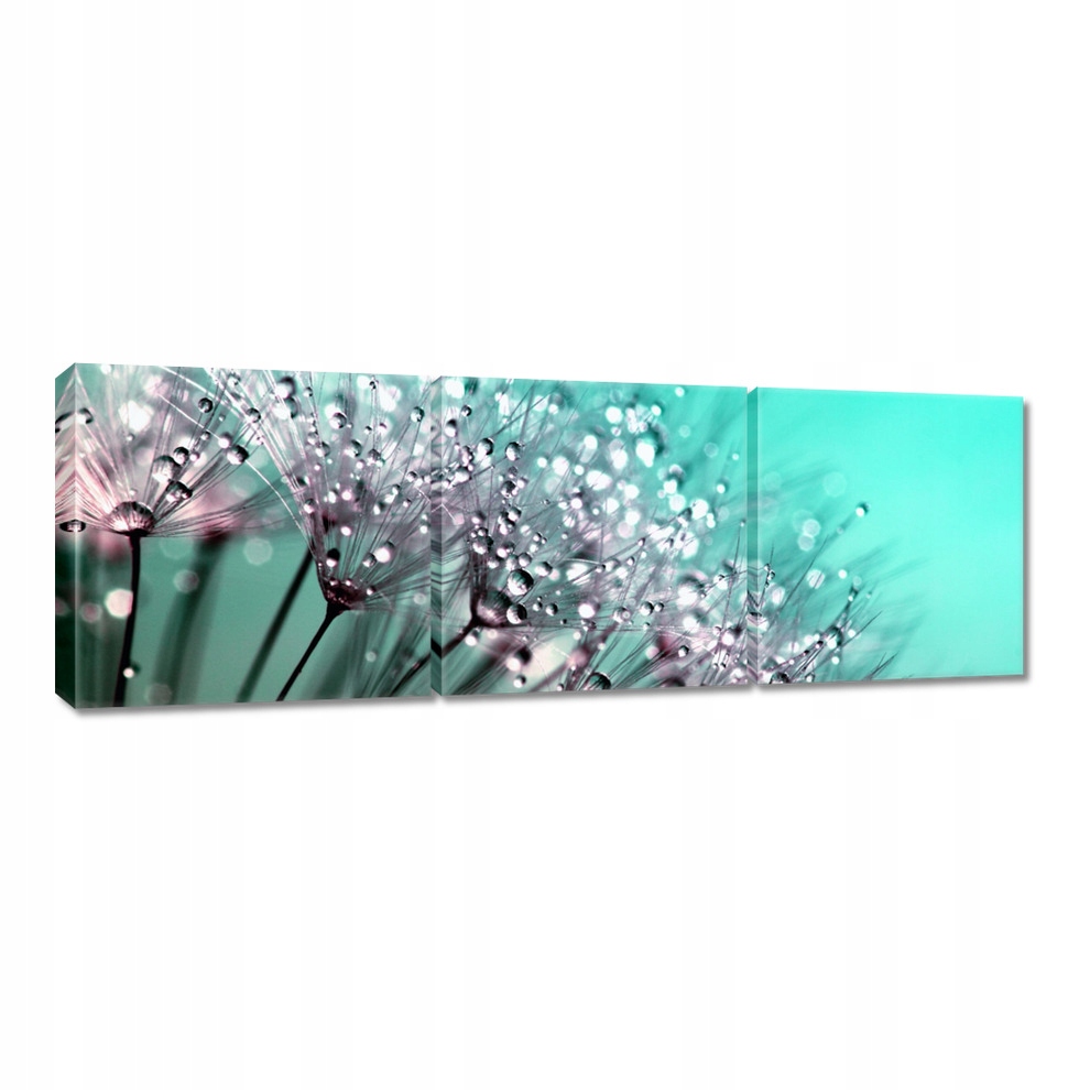 

Obrazy 120x40 Krople rosy Dmuchawiec