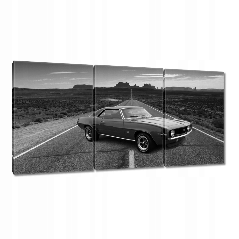 

Obrazy 120x60 Chevrolet Ss Samochód