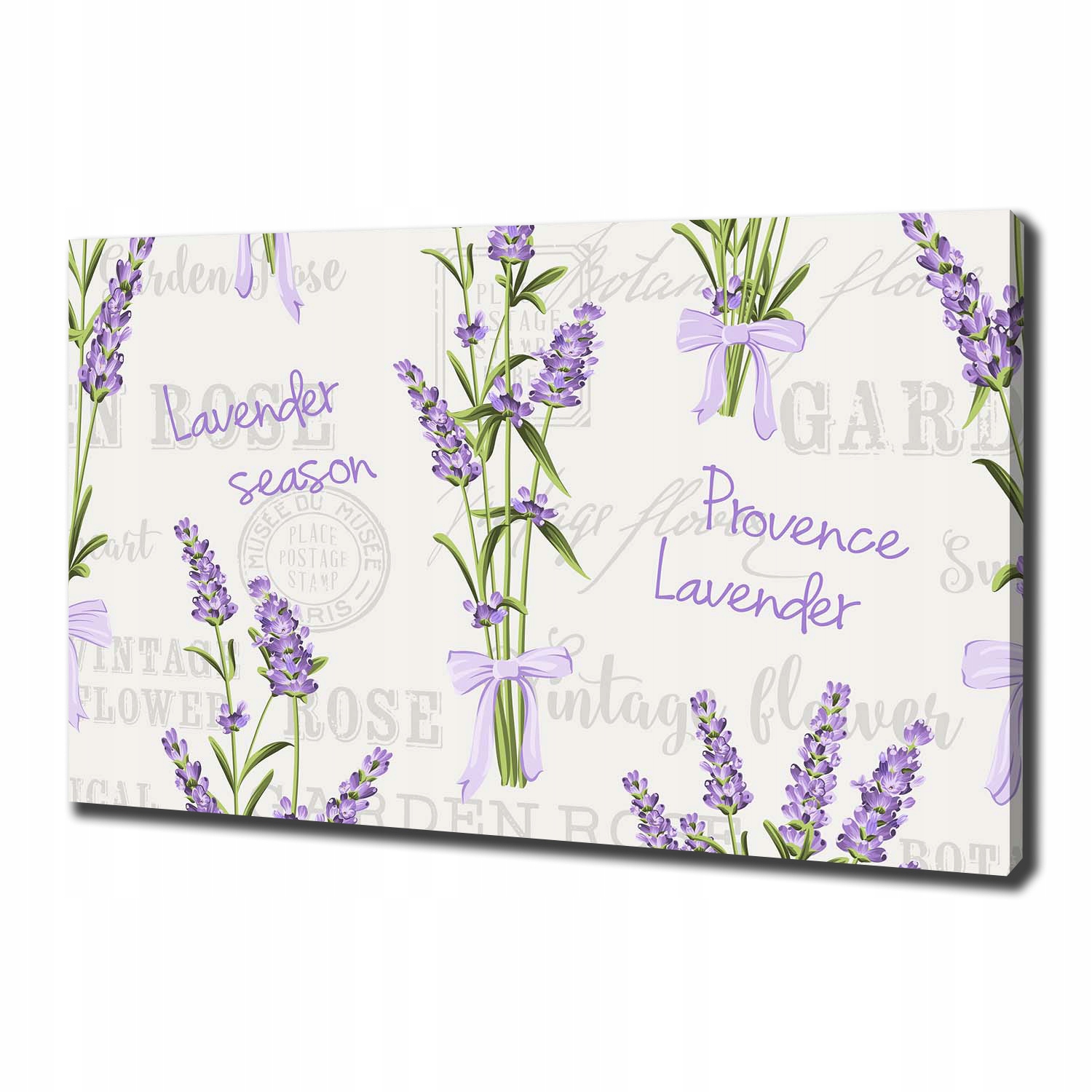 

Foto obraz canvas na ścianę Lawenda 100x70 cm