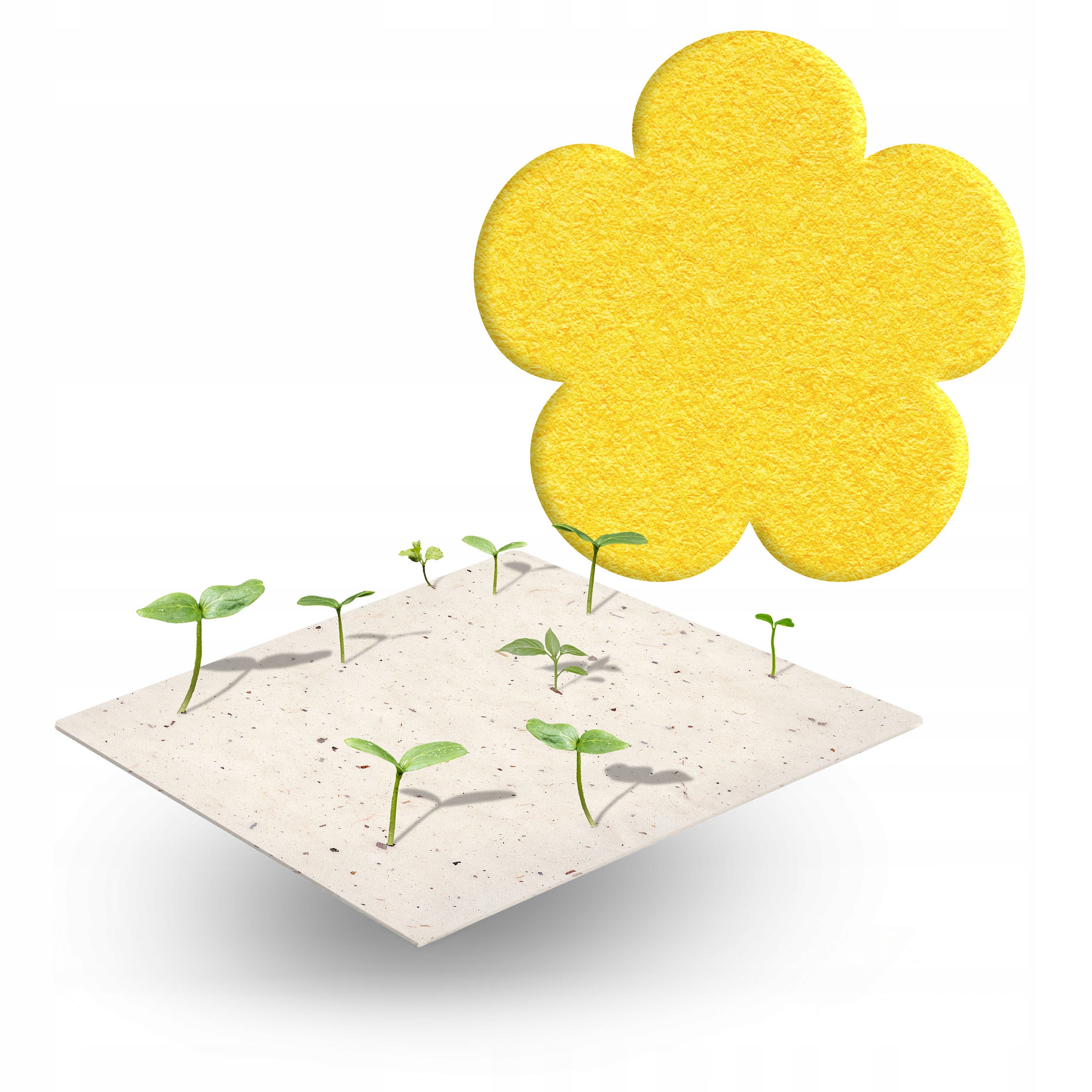 KREDOWY MAZAK ZMAZYWALNY do tablicy szklanej do tablic Marka Rawmark