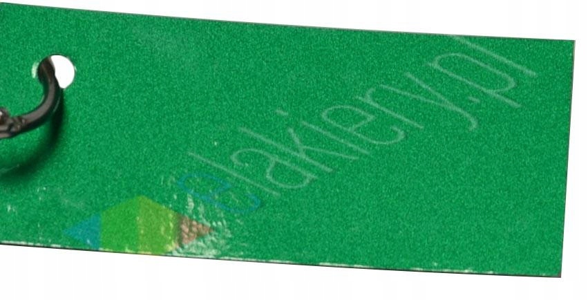 

T4W Lakier bazowy zielona perła HT-7000 2:1