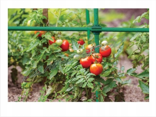 OGRÓD Tyczka kij do roślin pomidorów drzewek 1,8m Materiał wykonania stal powlekana