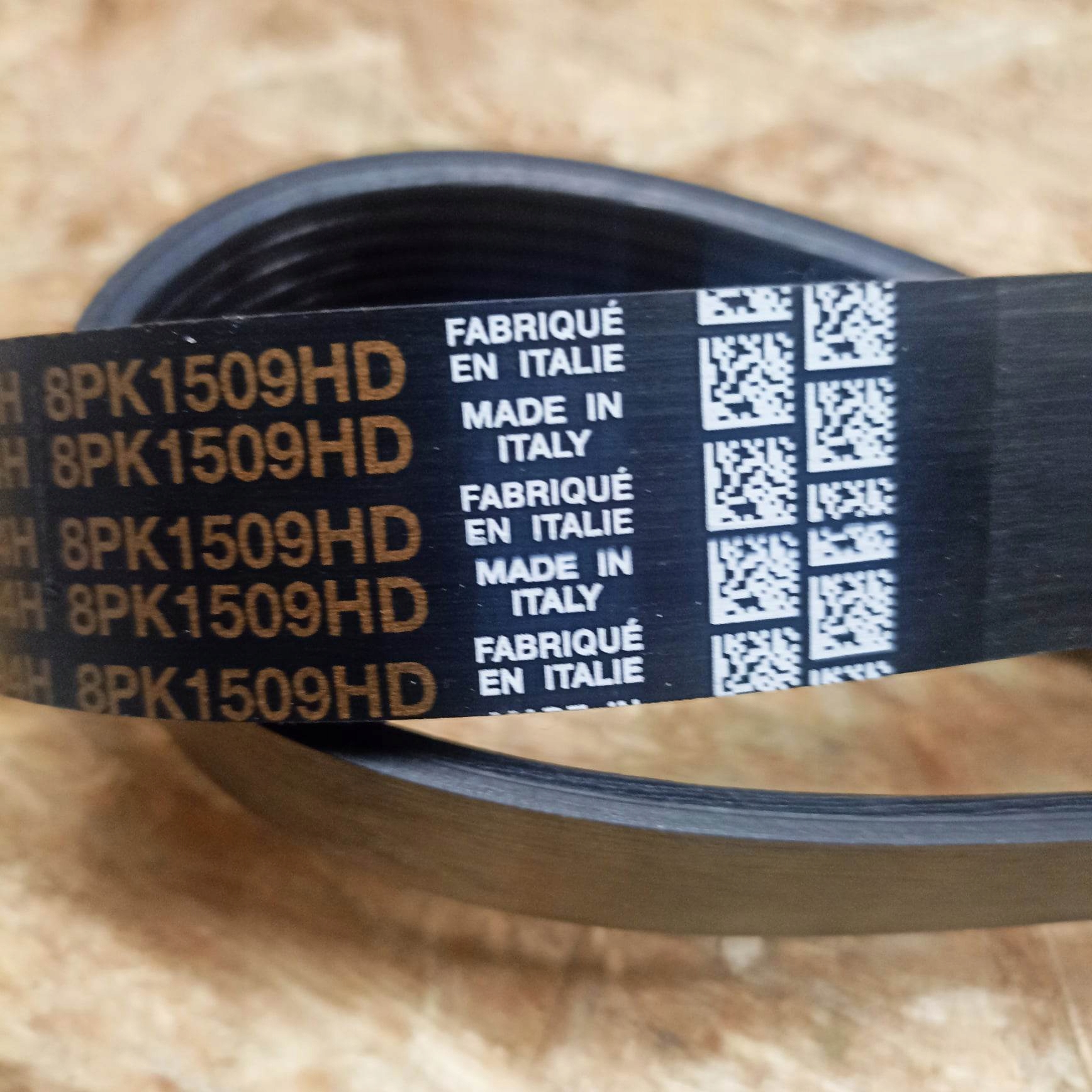 Pasek klinowy wielorowkowy john deere R123307 Producent części inny