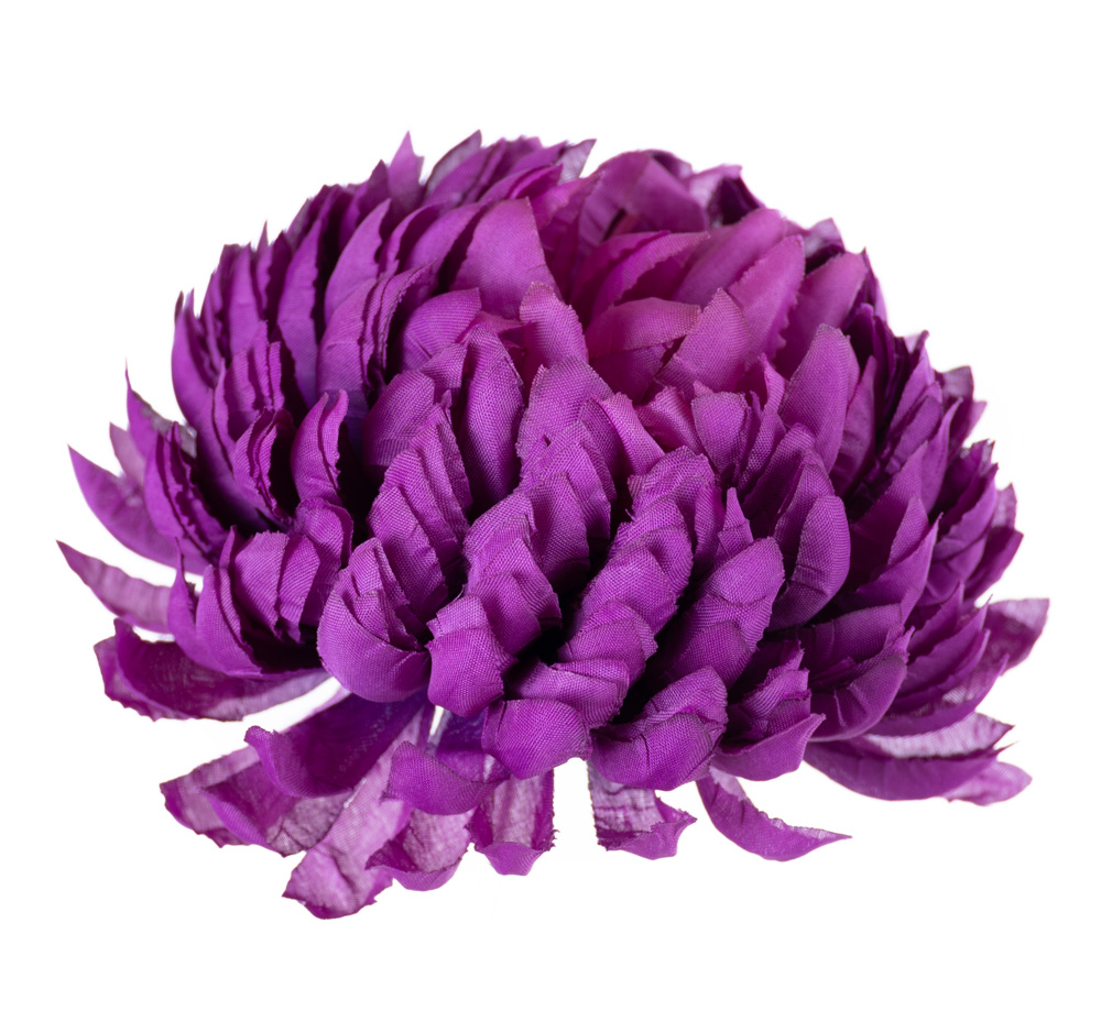 

Chryzantema ananas fioletowo purpurowa Wyrobowa