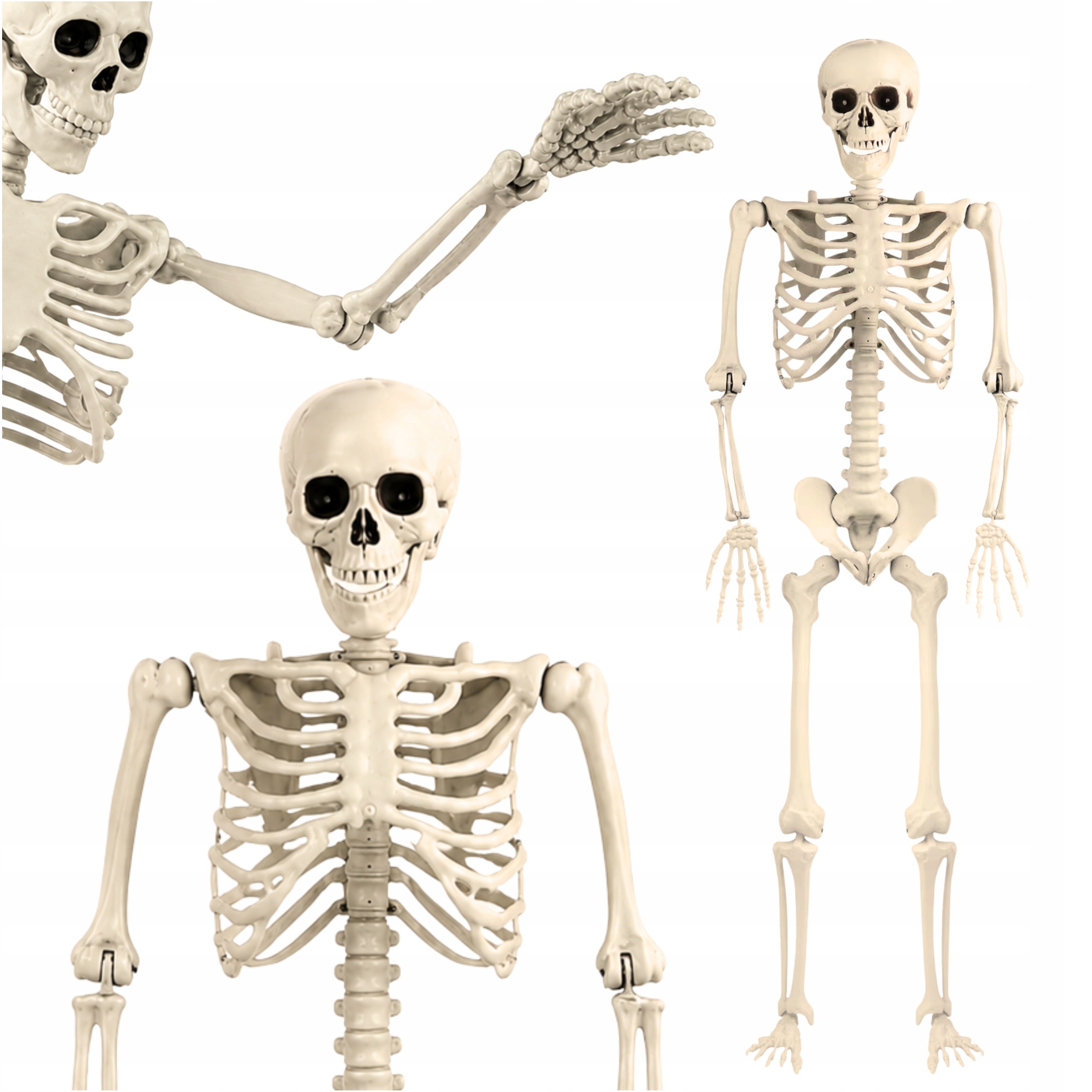 Kostra Člověka Kostra Kostlivec Lebka Halloweenská Dekorace 93 CM