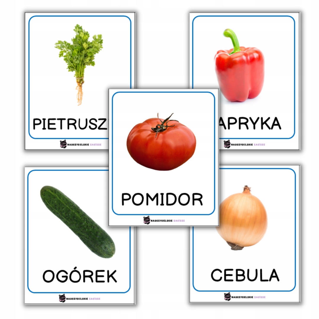 

Warzywa x30 Fiszki dla dzieci Karty 10x8cm