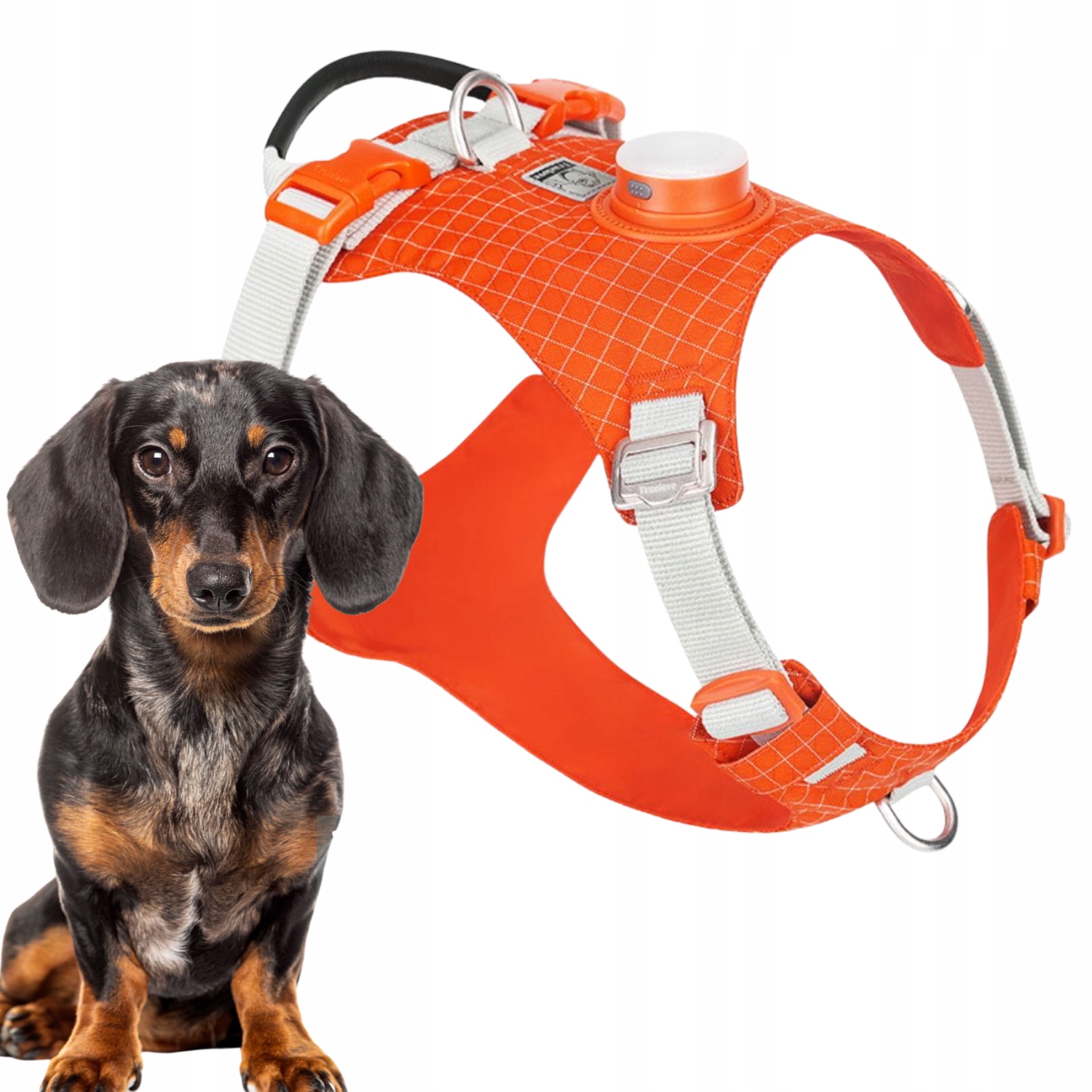 Levně Postroj Pro Psa Truelove Tracker Easy Walk S Led Lampičkou Oranžový Xs