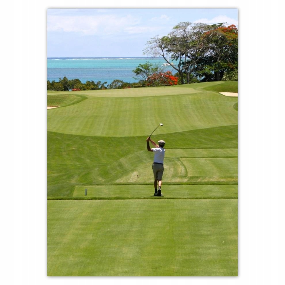 

Naklejki 50x70 Golfista na polu