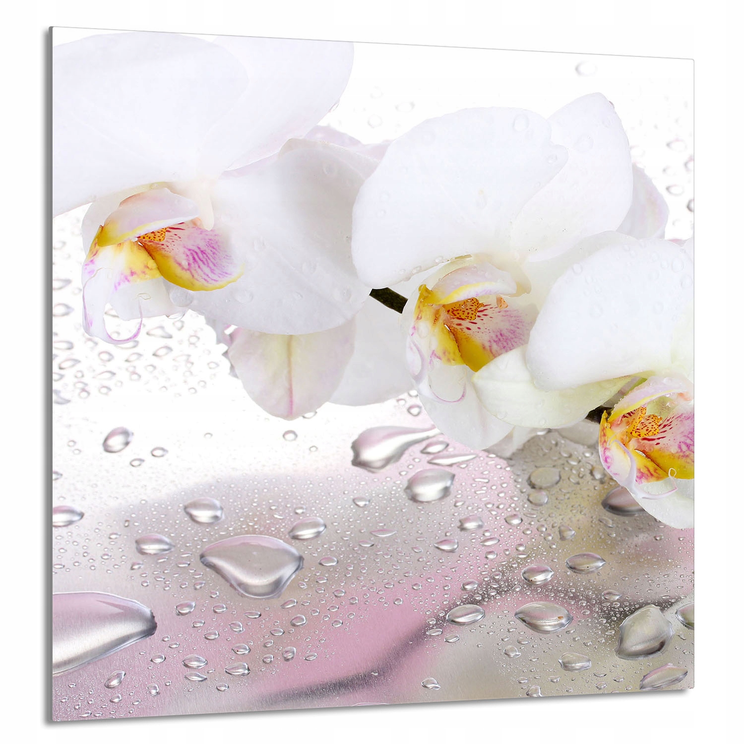 Skleněný Panel Do Kuchyně 60x65 Orchidej Tvrzené Sklo