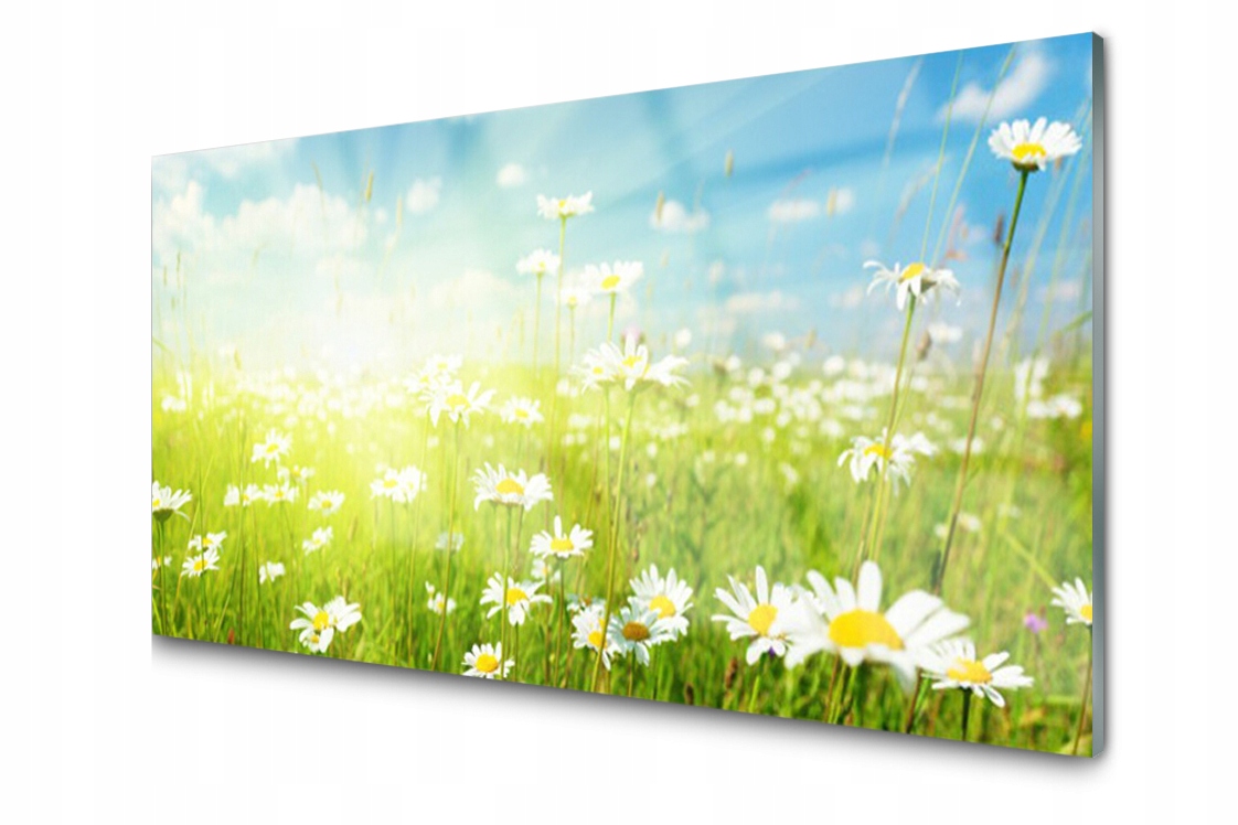 

Panel szklany dekor Łąka Stokrotki 140x70 + Klej