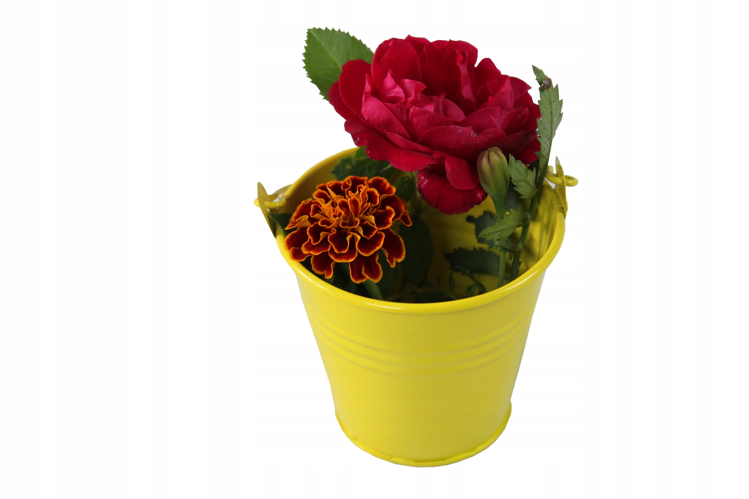 WIADERKO DONICZKA OSŁONKA