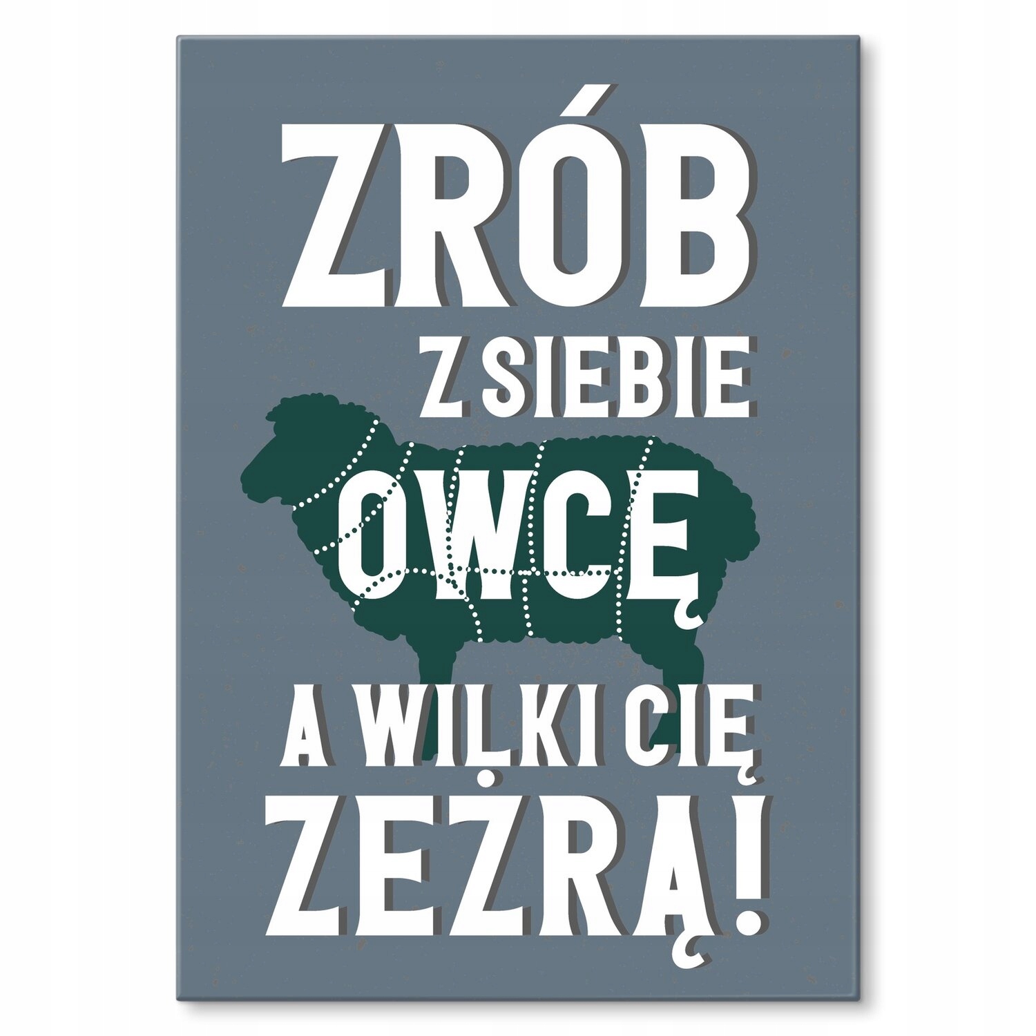 Kovový plakát Udělejte ze sebe ovci Štítek Plech 42 x 59,4 cm Dárek