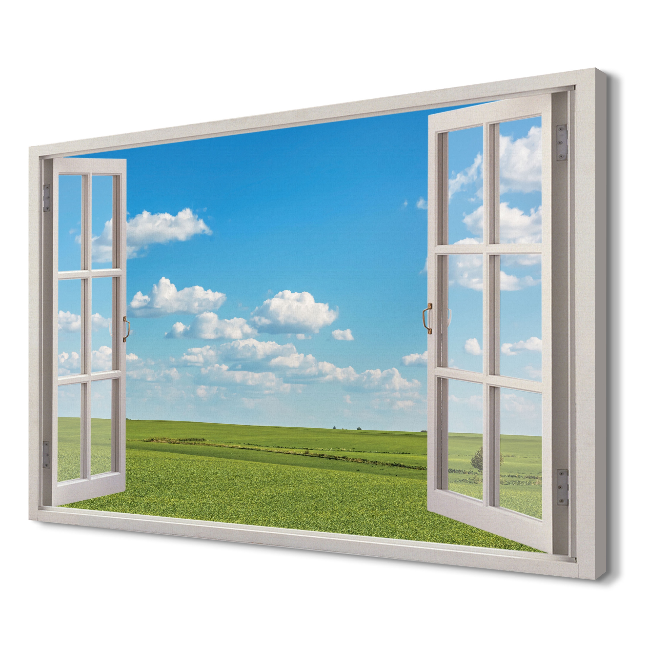 

Łąka Niebo Wydruk na płótnie 3d 120x80 dekoracja