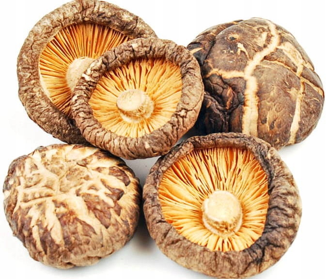 

Grzyby suszone Shiitake (PoKu) 50g