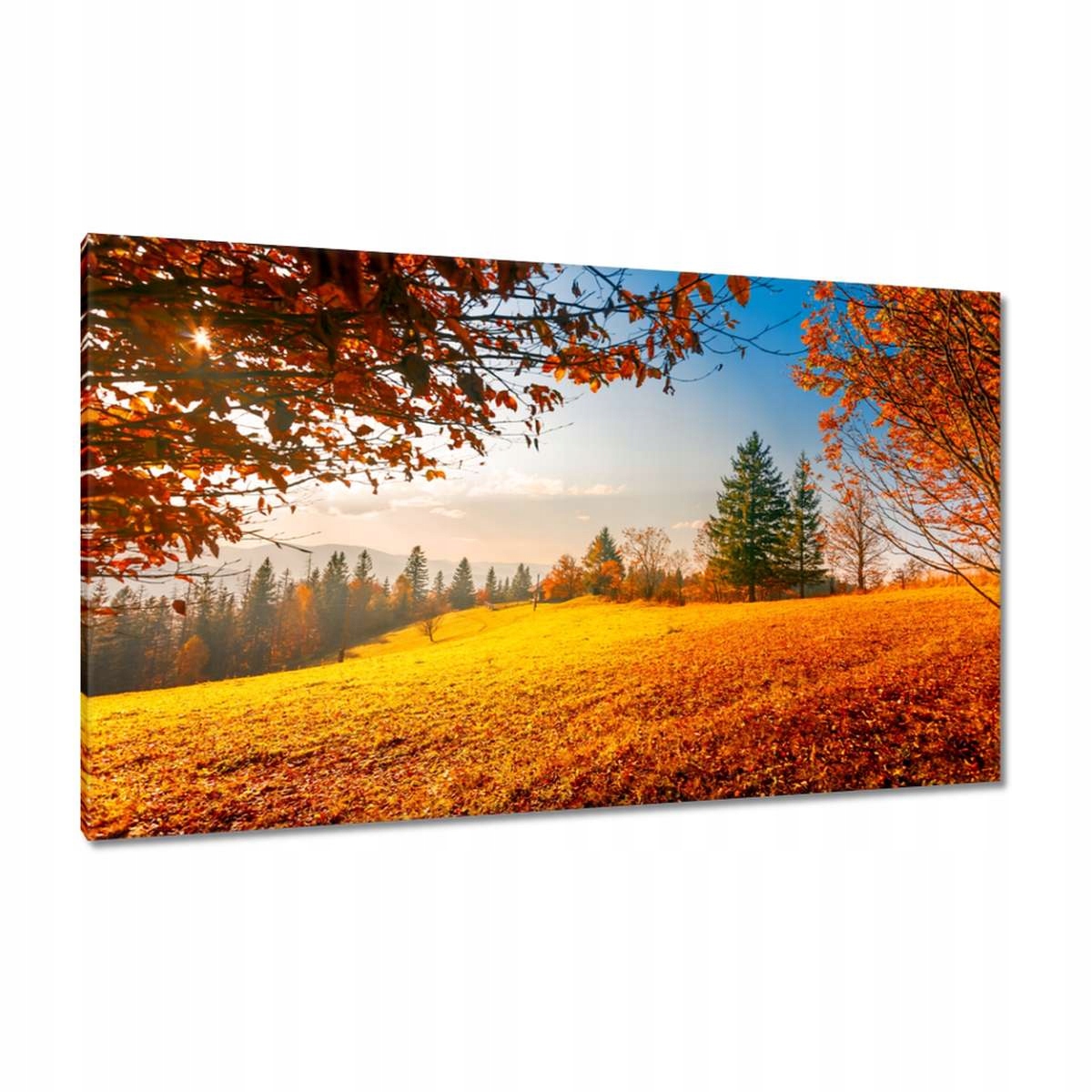 Obrazy 120x70 Podzimní krajina