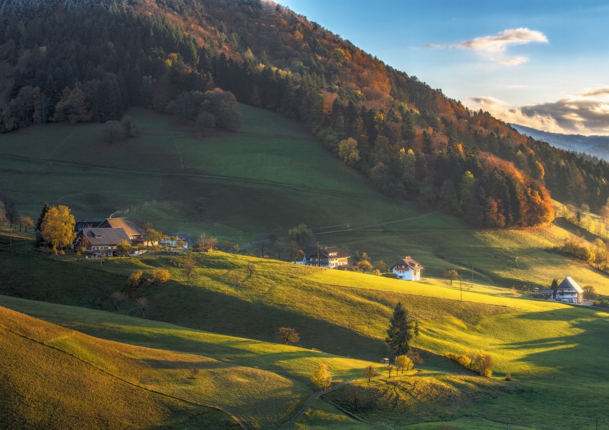 

Fototapeta Flizelinowa Dolina górska 208x146