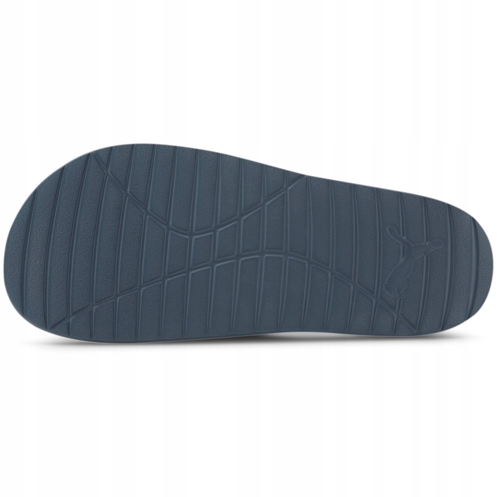 KLAPKI PUMA DIVECAT V2 369400 12 R-40,5 Marka Puma