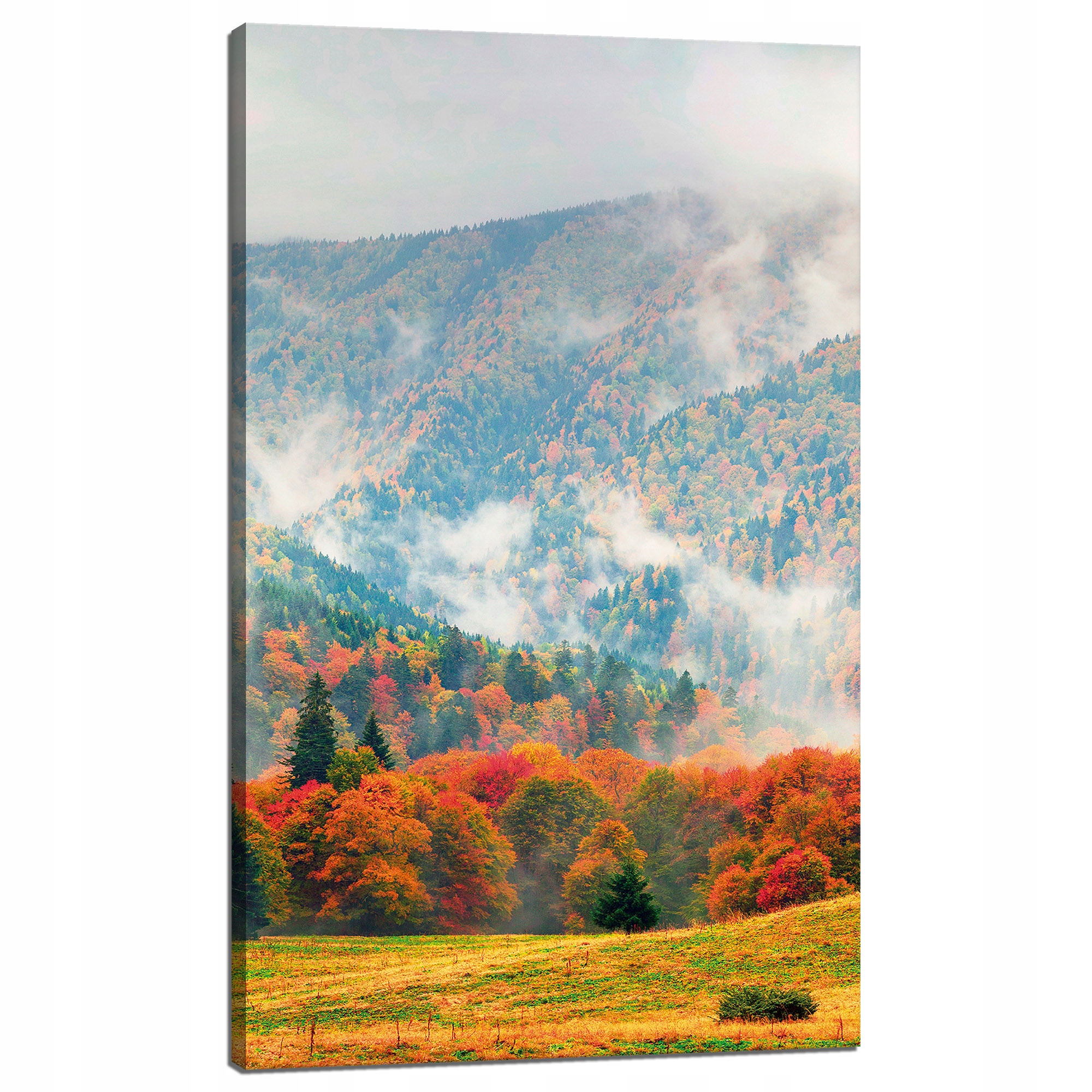 Obraz na plátně Hora Lesy Louky Mraky Příroda 60x100 cm