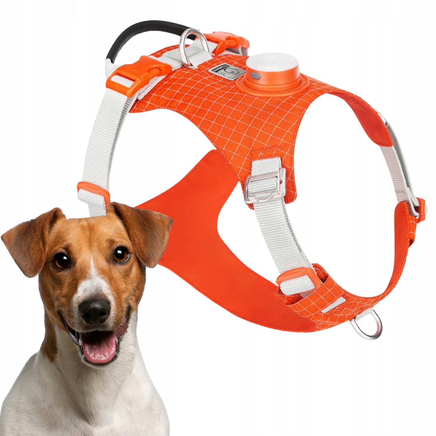 Obojky Pro Psa Truelove Tracker Easy Walk S Led Lampičkou, Oranžové