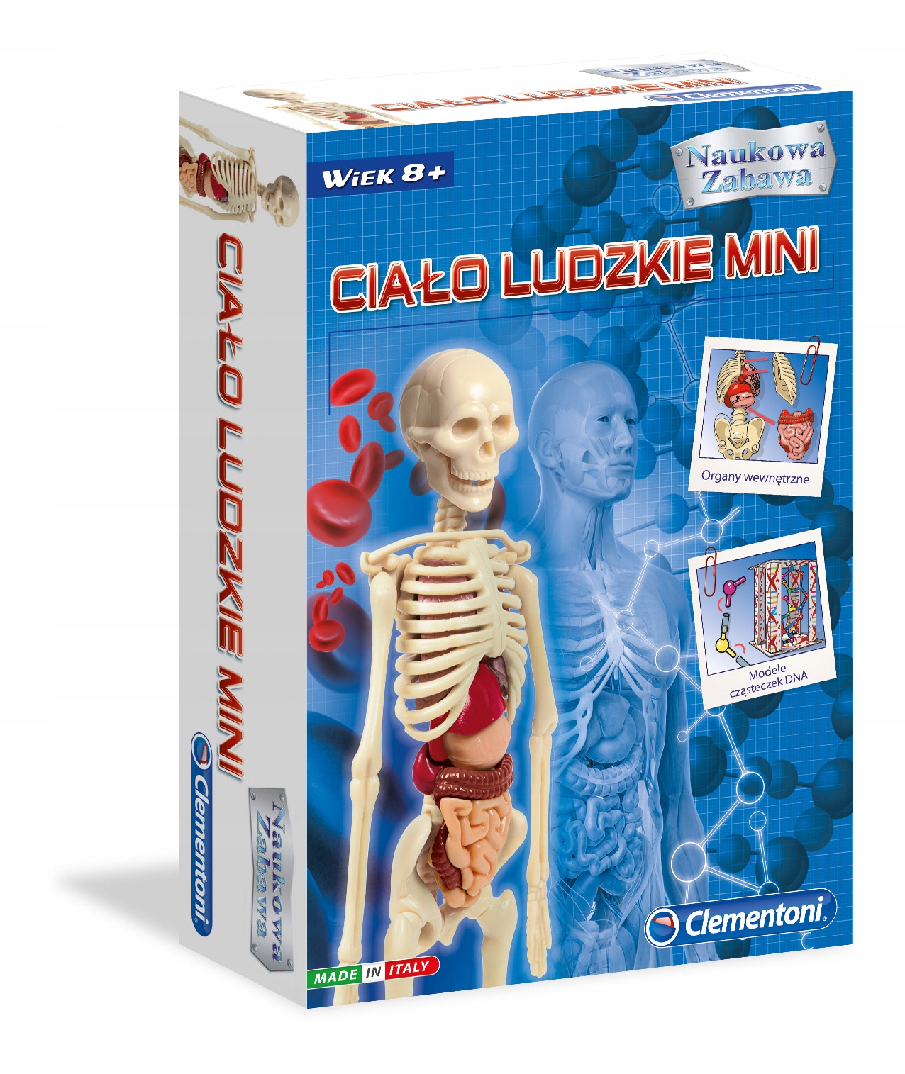 

Clementoni Naukowa zabawa Ciało ludzkie mini 50515
