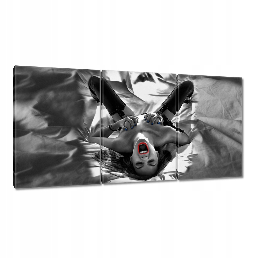 

Obrazy 240x120 Laska w sypialni