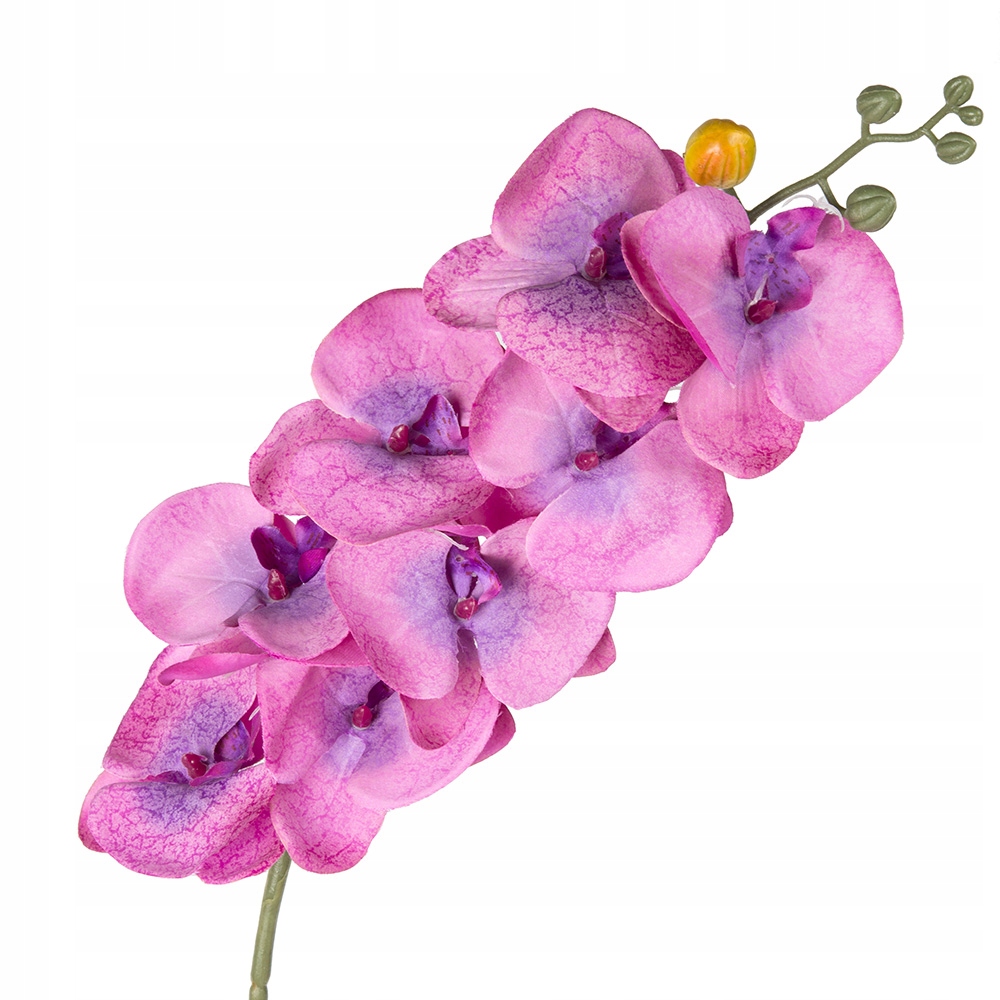 

Kwiaty Sztuczne Storczyk Orchidea Storczyki