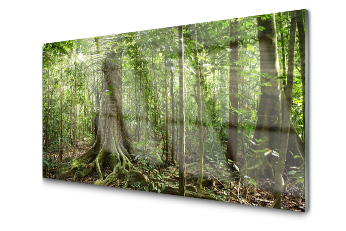 

Panel szklany Płytka Las Dżungla 120x60 + Klej