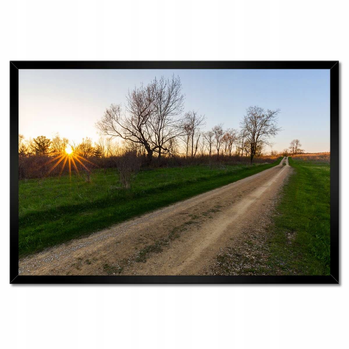 Plakáty v rámu 60x40 Polní cesta Stromy Pole