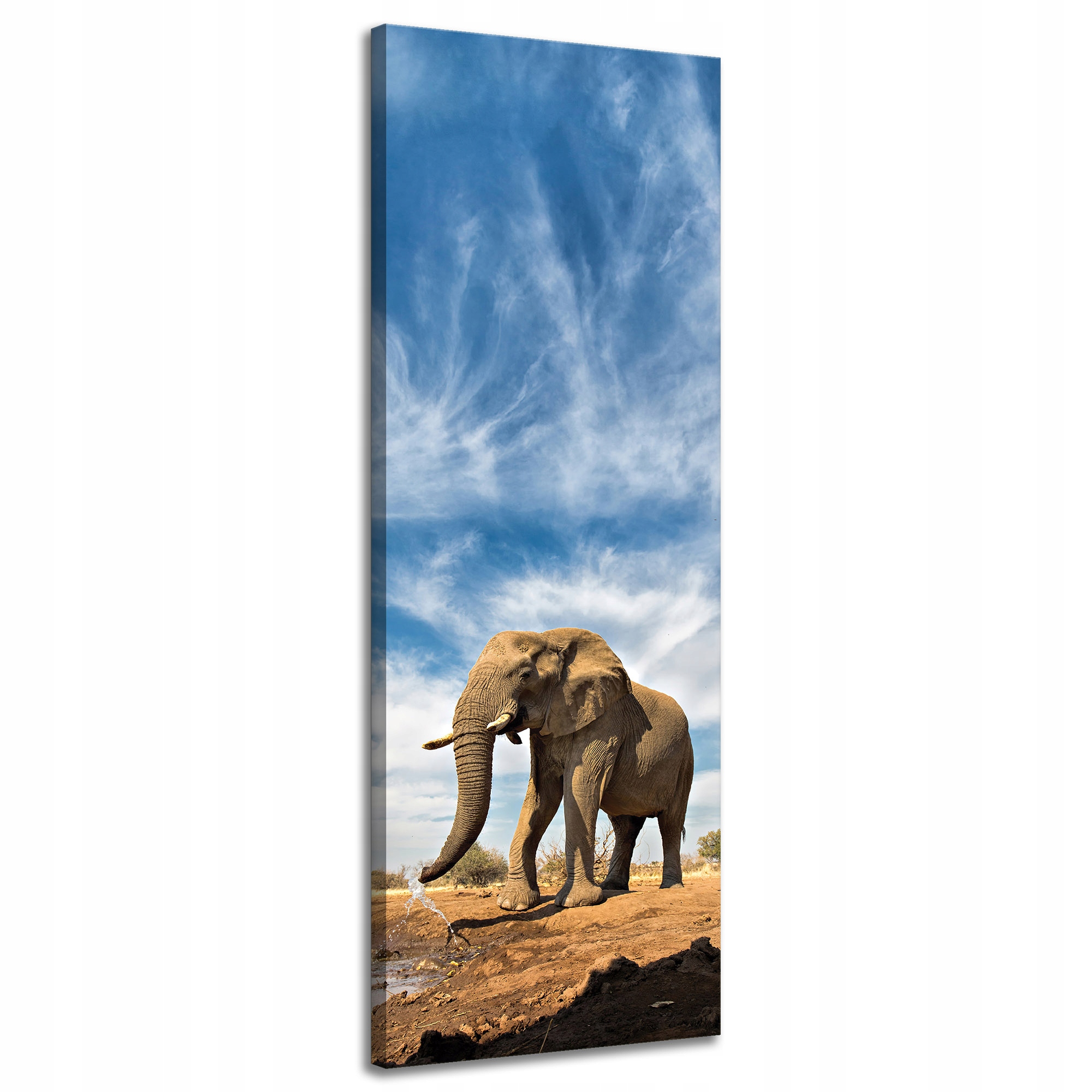 Obraz na plátně Velký slon na savaně Písek 40x120 cm