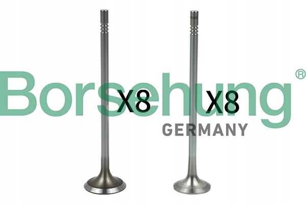 B18632 - ВЫХЛОПНЫЕ ВСАСЫВАЮЩИЕ КЛАПАНЫ KPL BORSEHUNG