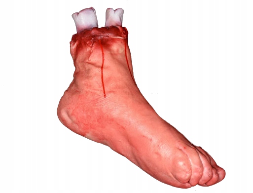 

Sztuczna Stopa Noga Z Kością Halloween Ucięta